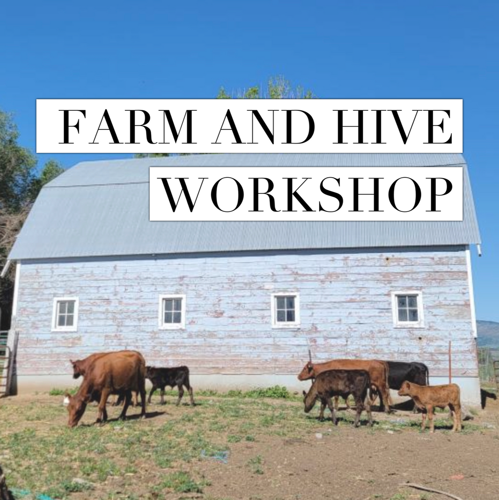 Farm and Hive Workshop