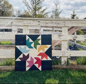 Barn Quilts +  Hexes